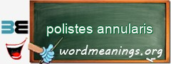 WordMeaning blackboard for polistes annularis